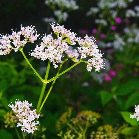 6 Person In Passebekk-by Traum Omholt