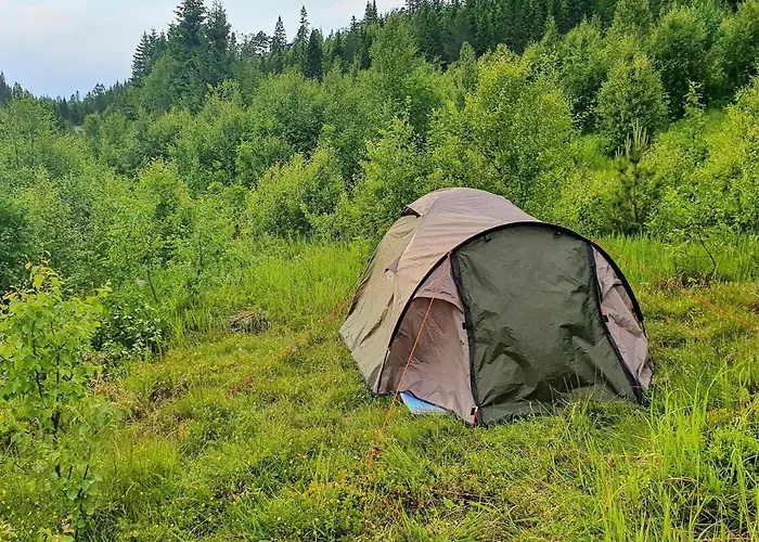 6 Person In Passebekk-by Traum Omholt